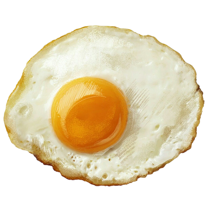 egg